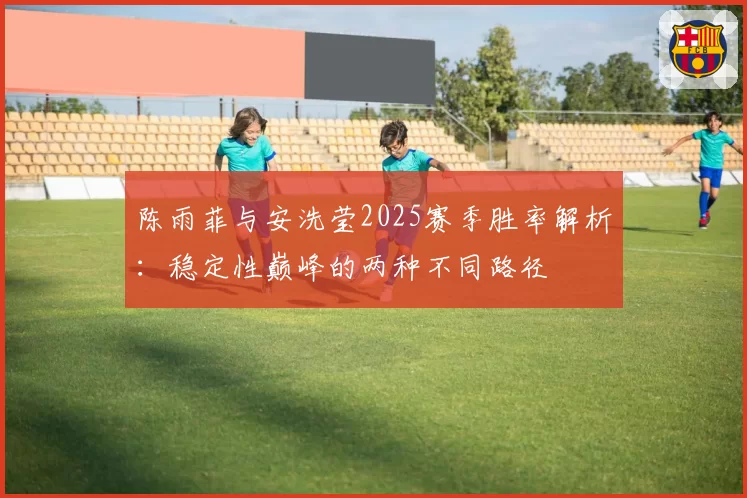 陈雨菲与安洗莹2025赛季胜率解析:稳定性巅峰的两种不同路径