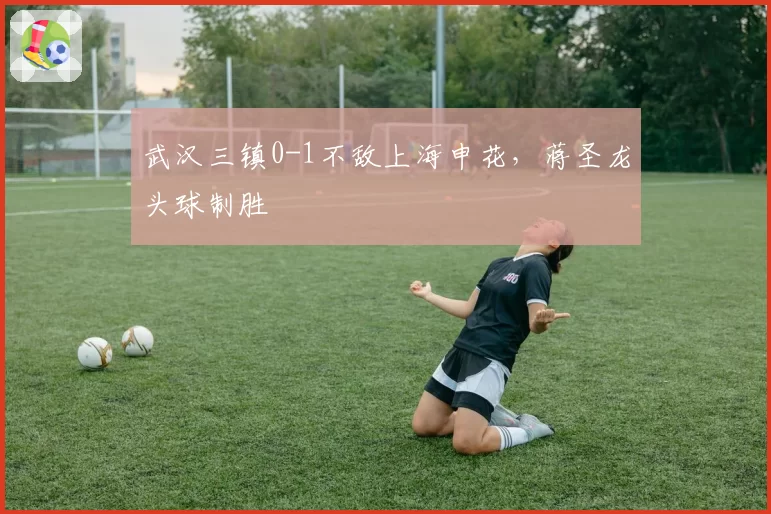 武汉三镇0-1不敌上海申花，蒋圣龙头球制胜