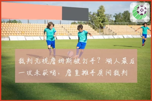 裁判无视詹姆斯被打手?湖人最后一攻未获哨,詹皇摊手质问裁判