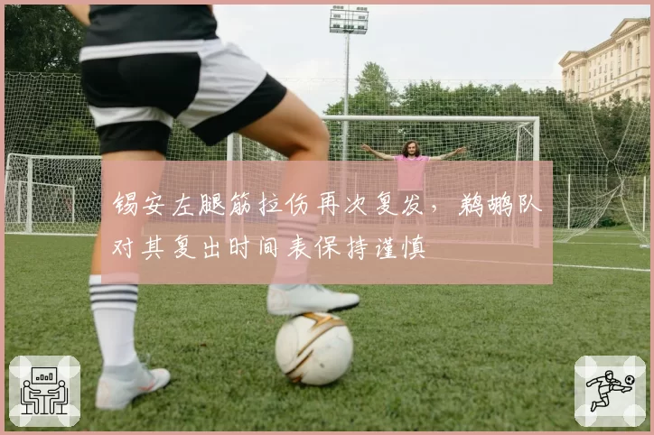 锡安左腿筋拉伤再次复发，鹈鹕队对其复出时间表保持谨慎