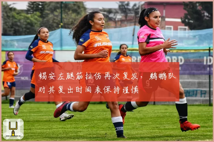 锡安左腿筋拉伤再次复发，鹈鹕队对其复出时间表保持谨慎