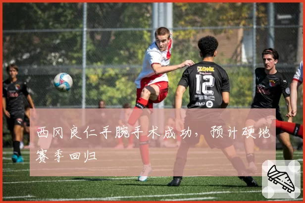 西冈良仁手腕手术成功，预计硬地赛季回归