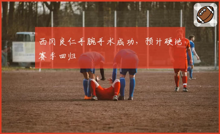 西冈良仁手腕手术成功，预计硬地赛季回归
