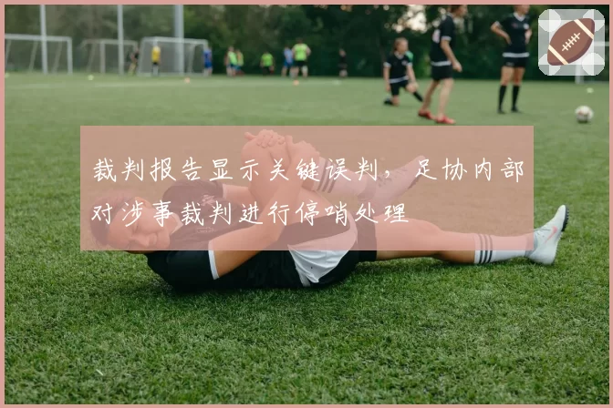 裁判报告显示关键误判，足协内部对涉事裁判进行停哨处理