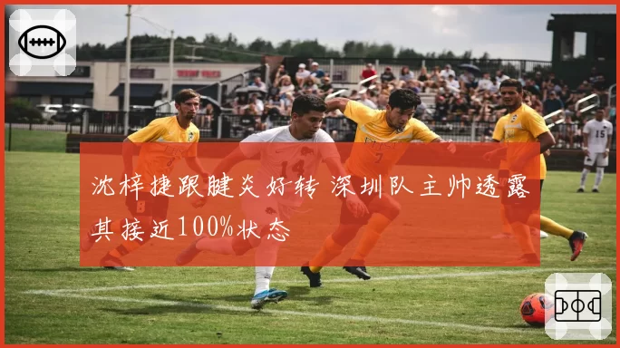 沈梓捷跟腱炎好转 深圳队主帅透露其接近100%状态